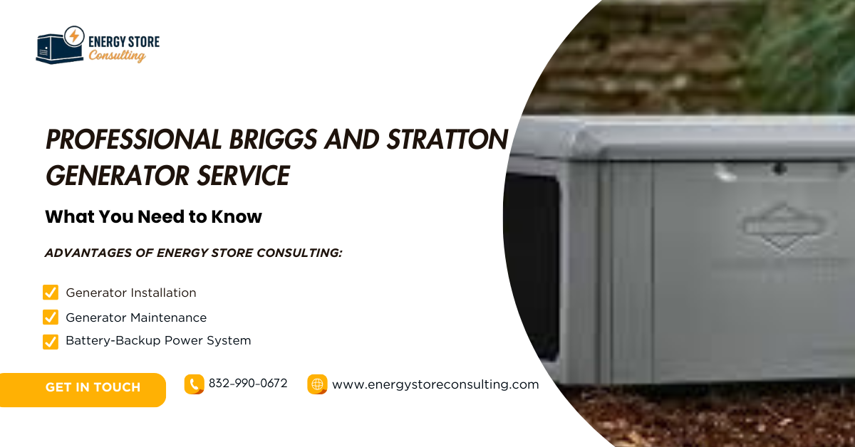 Professional Briggs and Stratton Generator Service